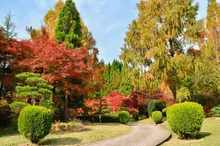 【紅葉・見ごろ】湧永満之記念庭園 2026
