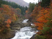 川内川渓谷の紅葉 2026