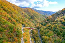 仙人峠の紅葉 2026