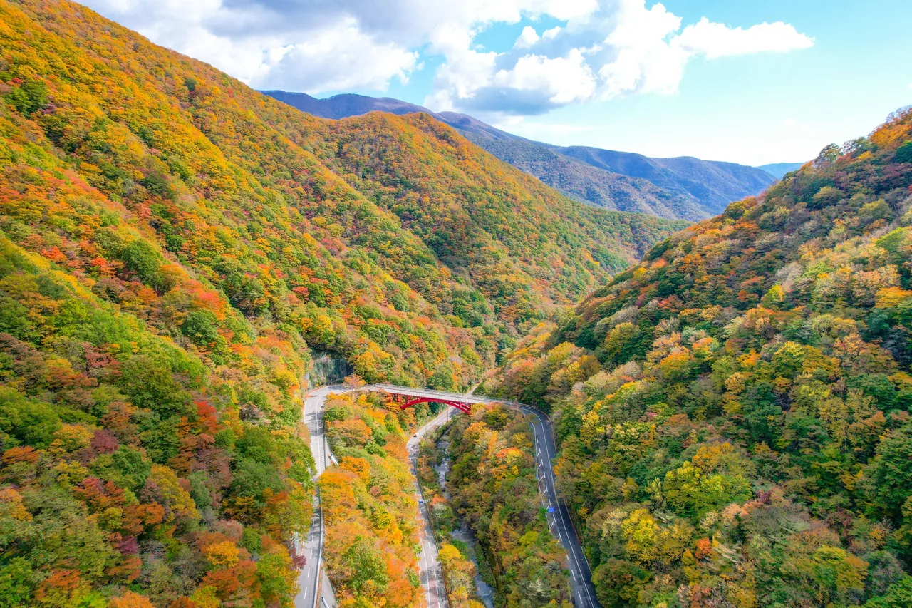 仙人峠の紅葉 2026