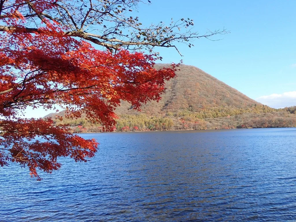 榛名山・榛名湖の紅葉 2026