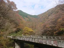 【紅葉・見ごろ】小俣渓谷 2026