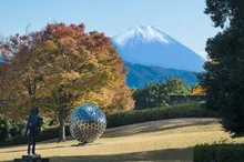 山梨県芸術の森公園の紅葉 2026