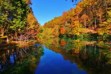 富士見台高原の紅葉 2026