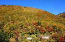 奥飛騨温泉郷の紅葉 2026
