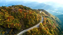 伊吹山ドライブウェイの紅葉 2026