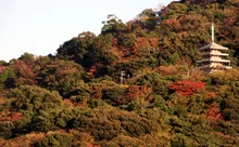 香貫山の紅葉 2026