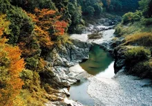 【紅葉・見ごろ】奥香肌峡・宮の谷渓谷 2026