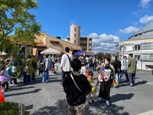 ロマチカ祭り2026