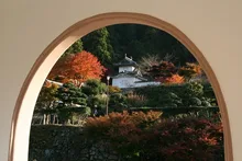出石城跡の紅葉 2026