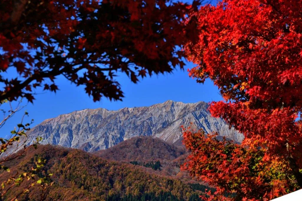 蒜山高原の紅葉 2026