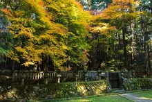 郡山城跡の紅葉 2026