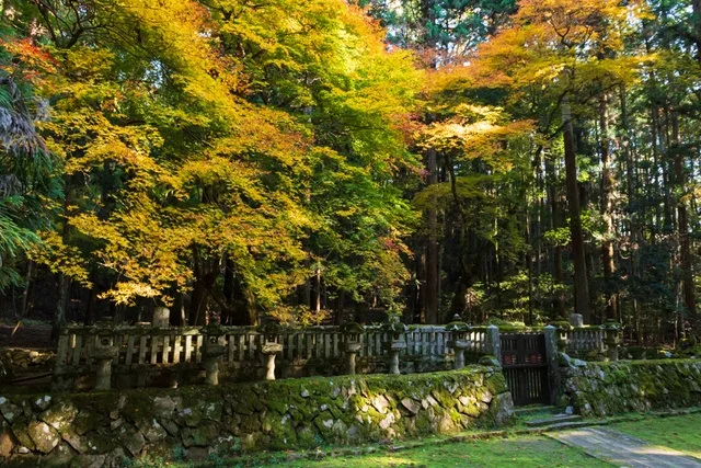 郡山城跡の紅葉 2026