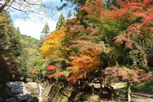 寂地峡の紅葉 2026