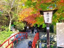 【紅葉・見ごろ】湯野温泉周辺 2026