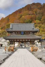 【紅葉・見ごろ】恐山 2026