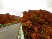 胆沢川渓谷の紅葉 2026