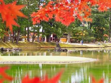 毛越寺の紅葉 2026