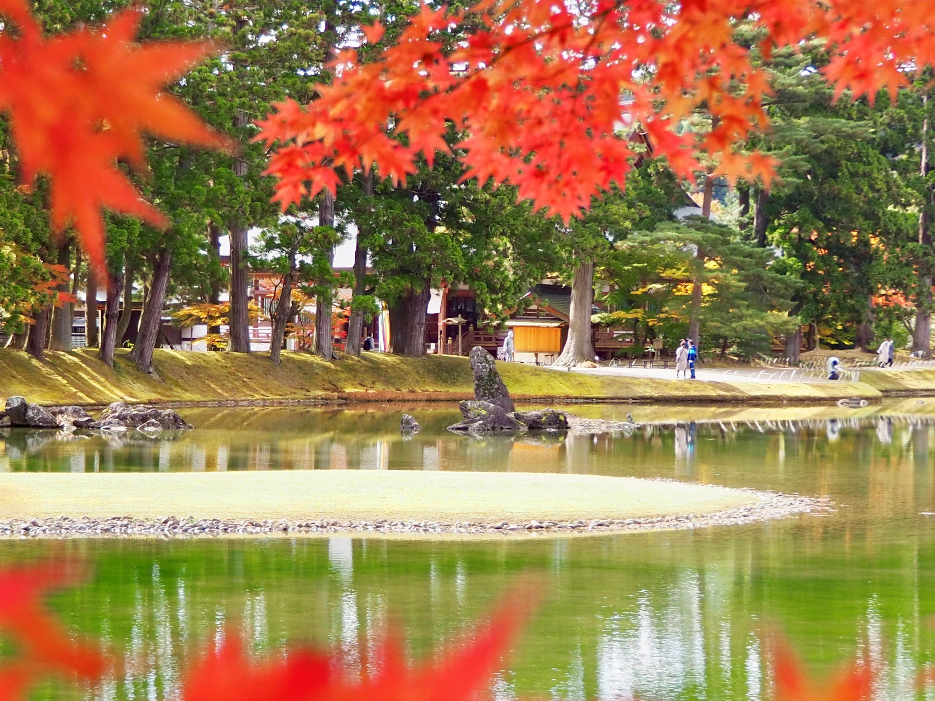 毛越寺の紅葉 2026