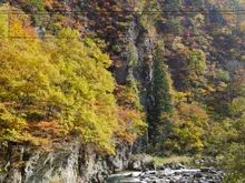 綱木渓谷の紅葉 2026