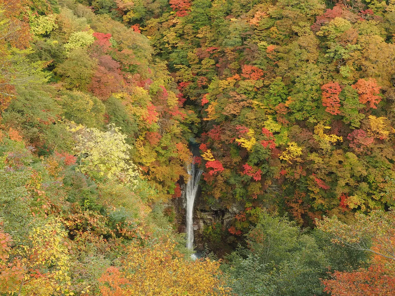 駒止の滝の紅葉 2026