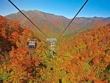 【紅葉・見ごろ】谷川岳ヨッホ 2026