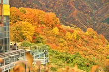 ザ・ヴェランダ石打丸山の紅葉 2026