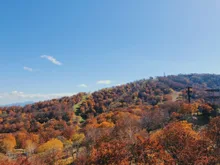 野沢温泉上ノ平高原の紅葉 2026