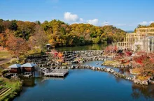 文化の日　水景園無料開放 2026