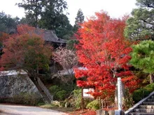 【紅葉・見ごろ】普門寺 2026