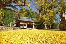【紅葉・見ごろ】福田神社 2026