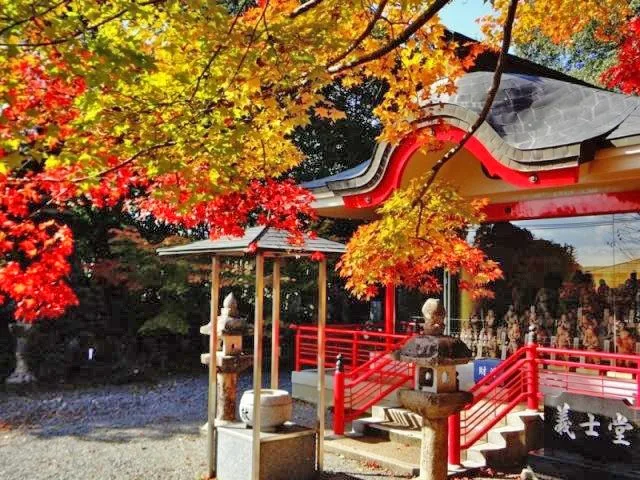 【紅葉・見ごろ】鳳源寺 2026