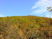 荒川高原の紅葉 2026