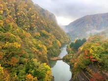 白神山地 素波里湖周辺(素波里園地)の紅葉 2026