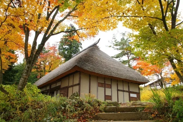 【紅葉・見ごろ】いいやま寺町 2026