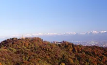 【紅葉・見ごろ】二上山 2026
