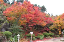 慈徳院の紅葉 2026