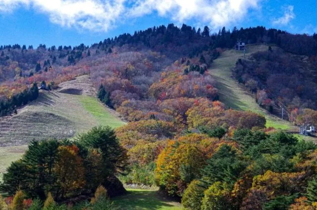 【紅葉・見ごろ】恐羅漢山 2026