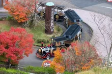 【紅葉・見ごろ】霧島神話の里公園 2026