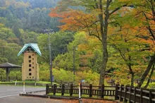 【紅葉・見ごろ】薬研・奥薬研温泉 2026