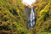 【紅葉・見ごろ】くろくまの滝 2026