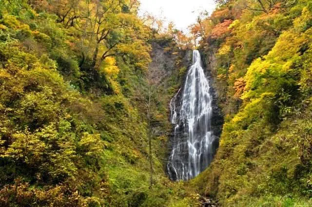 【紅葉・見ごろ】くろくまの滝 2026