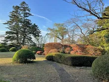【紅葉・見ごろ】八戸南部氏庭園 2026