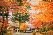 軽井沢プリンスホテルの紅葉 2026