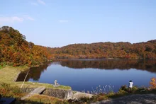 野々海高原の紅葉 2026