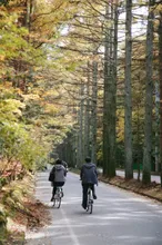 三笠通りの紅葉 2026