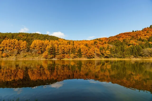 【紅葉・見ごろ】北竜湖 2026