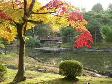 【紅葉・見ごろ】芦城公園 2026