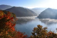 【紅葉・見ごろ】御母衣ダム 2026