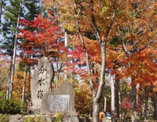 【紅葉・見ごろ】ひるがの高原 2026